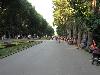 Морската градина - Варна